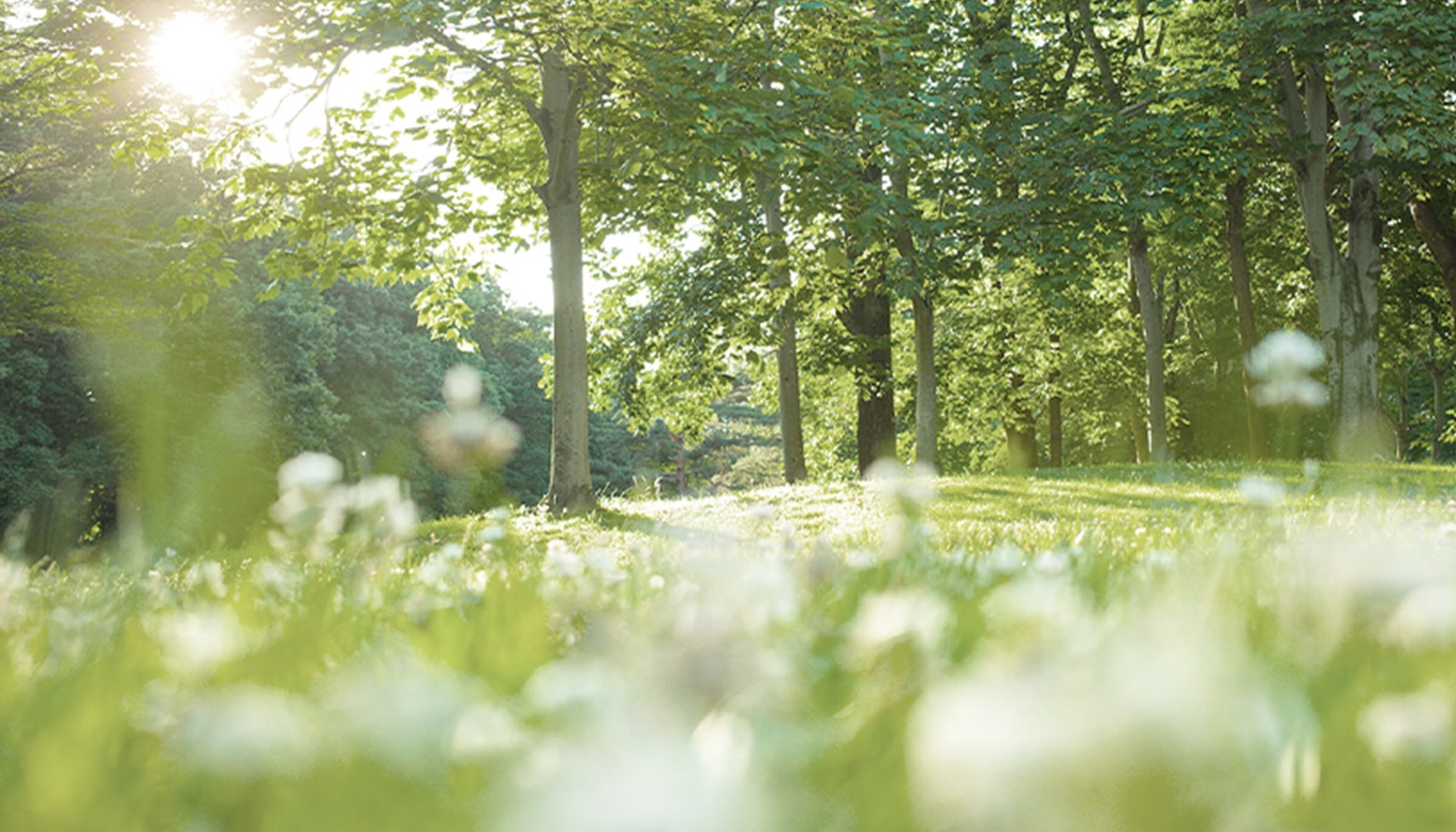 サステイナビリティ