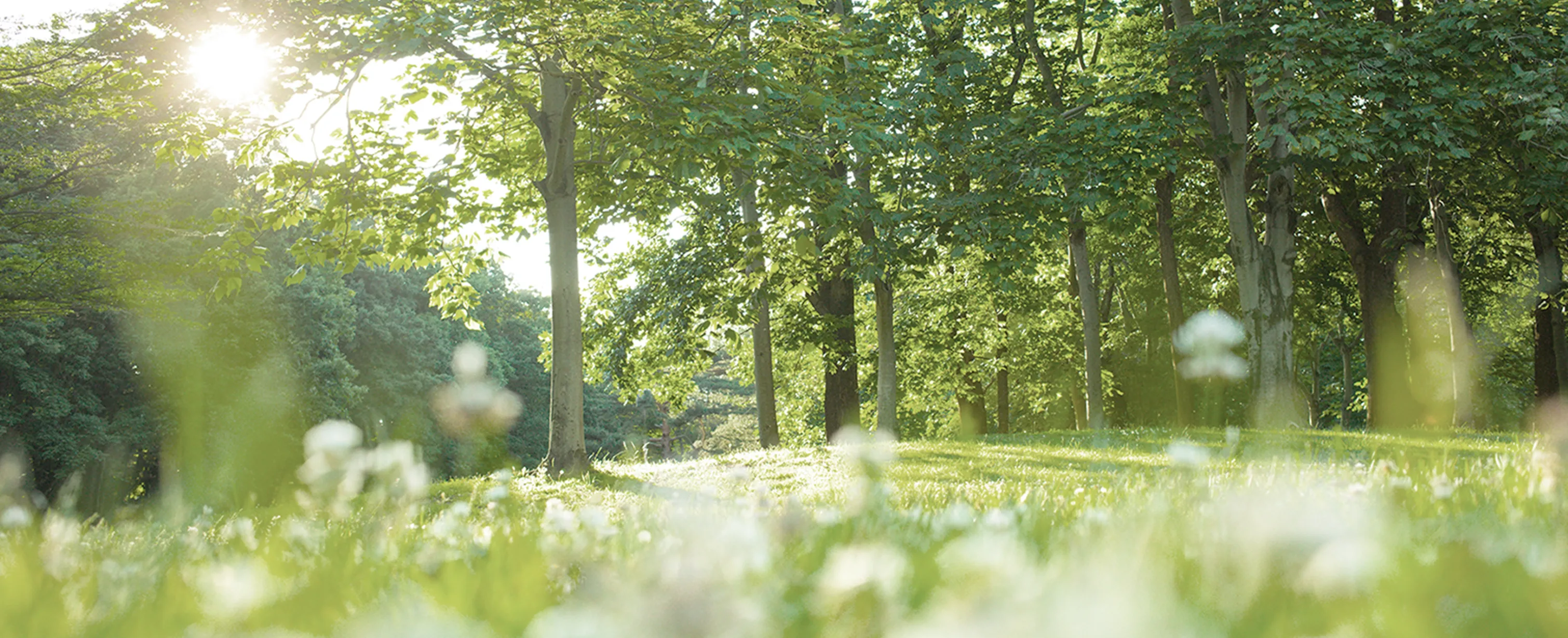 サステナビリティのメインビジュアル